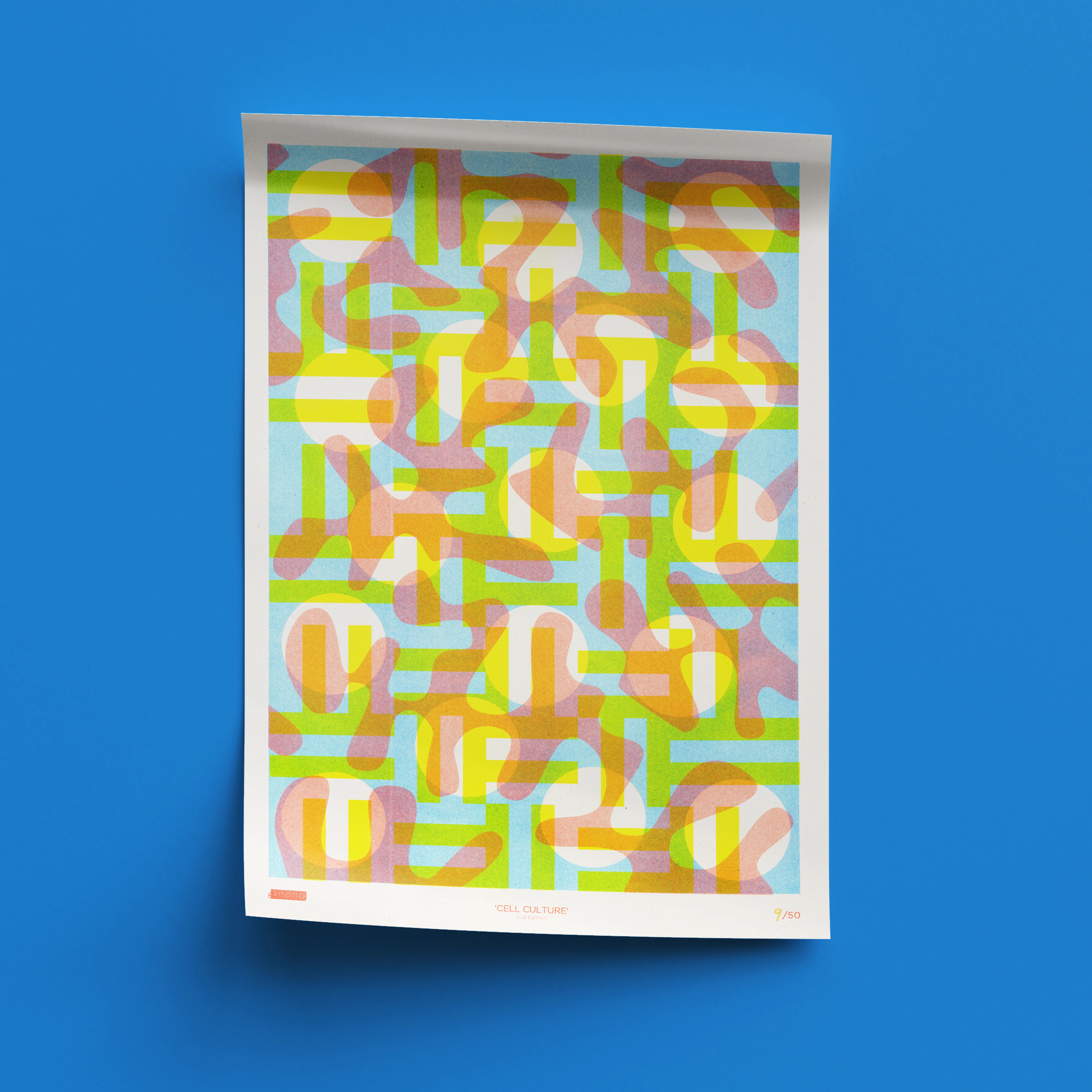 Cell Culture - Biology Collection: Editioned A3 Print - Image 5